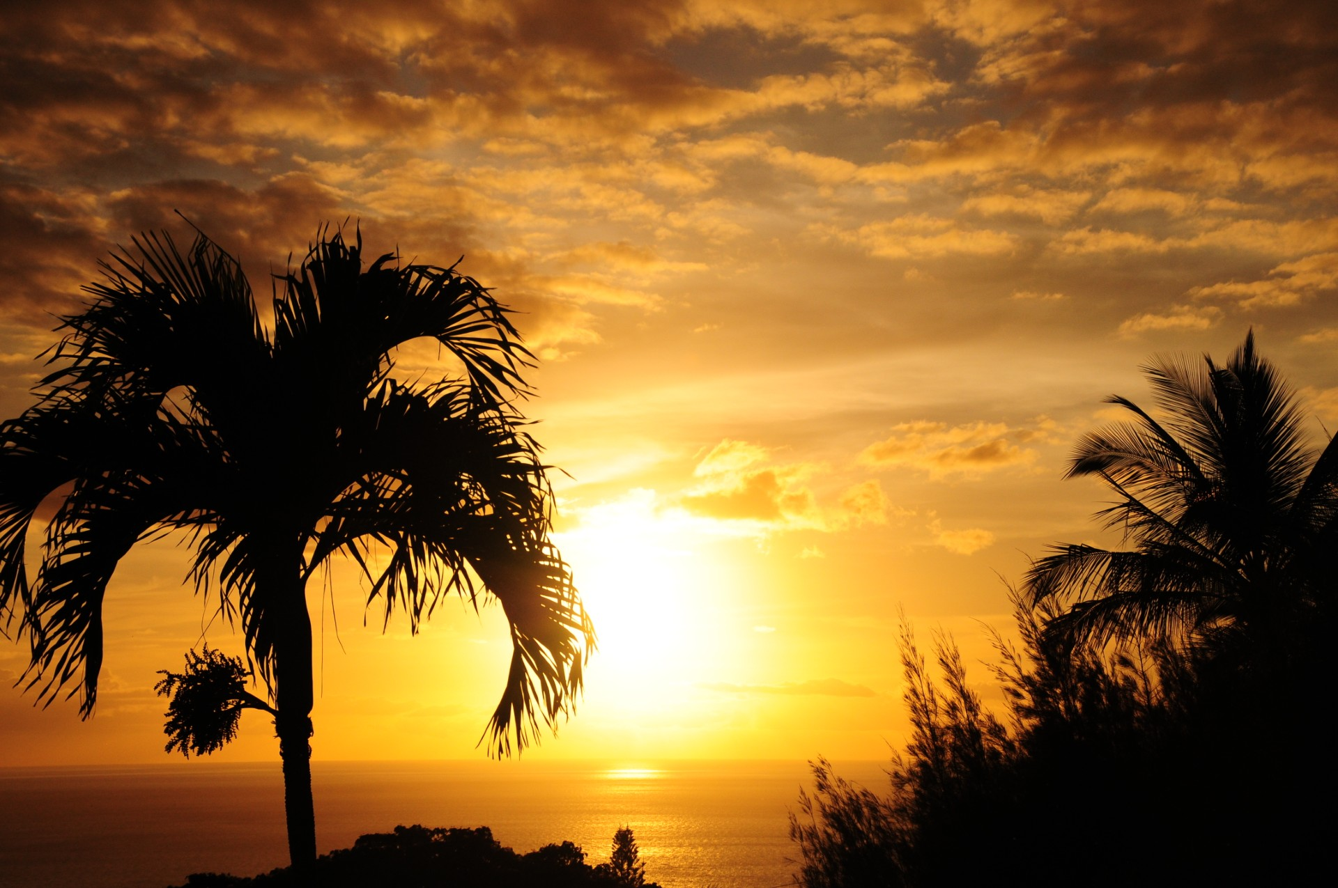 Photo of the Day ‘Waiting for the green flash in Kihei’ News, Sports